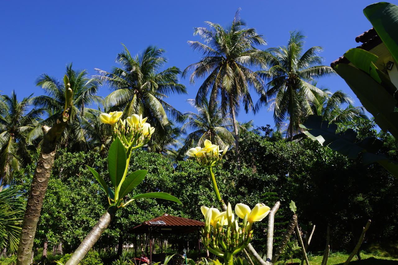 Twin Villas Apartment With Swimming Pool For 2 Houses บ้านวกตุ่ม ภายนอก รูปภาพ
