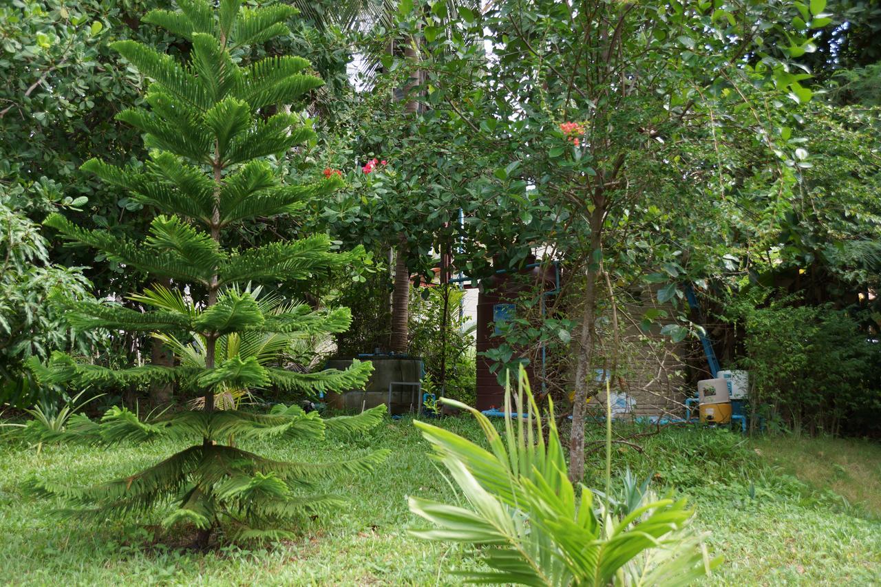 Twin Villas Apartment With Swimming Pool For 2 Houses บ้านวกตุ่ม ภายนอก รูปภาพ