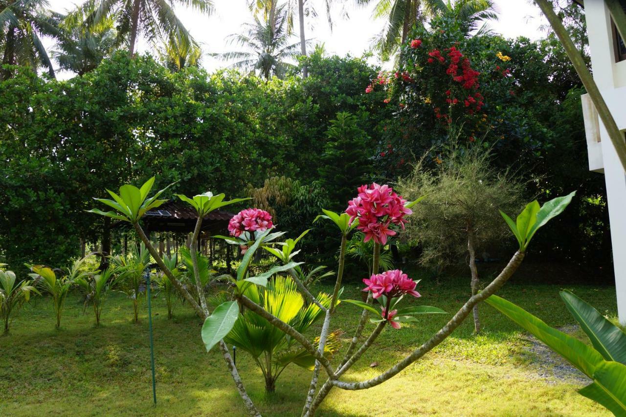 Twin Villas Apartment With Swimming Pool For 2 Houses บ้านวกตุ่ม ภายนอก รูปภาพ